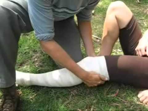 Pressure Immobilisation Bandaging