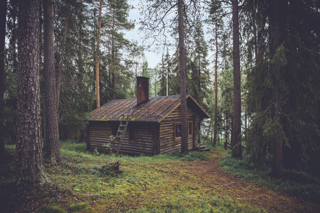 Photo of cabin in the woods