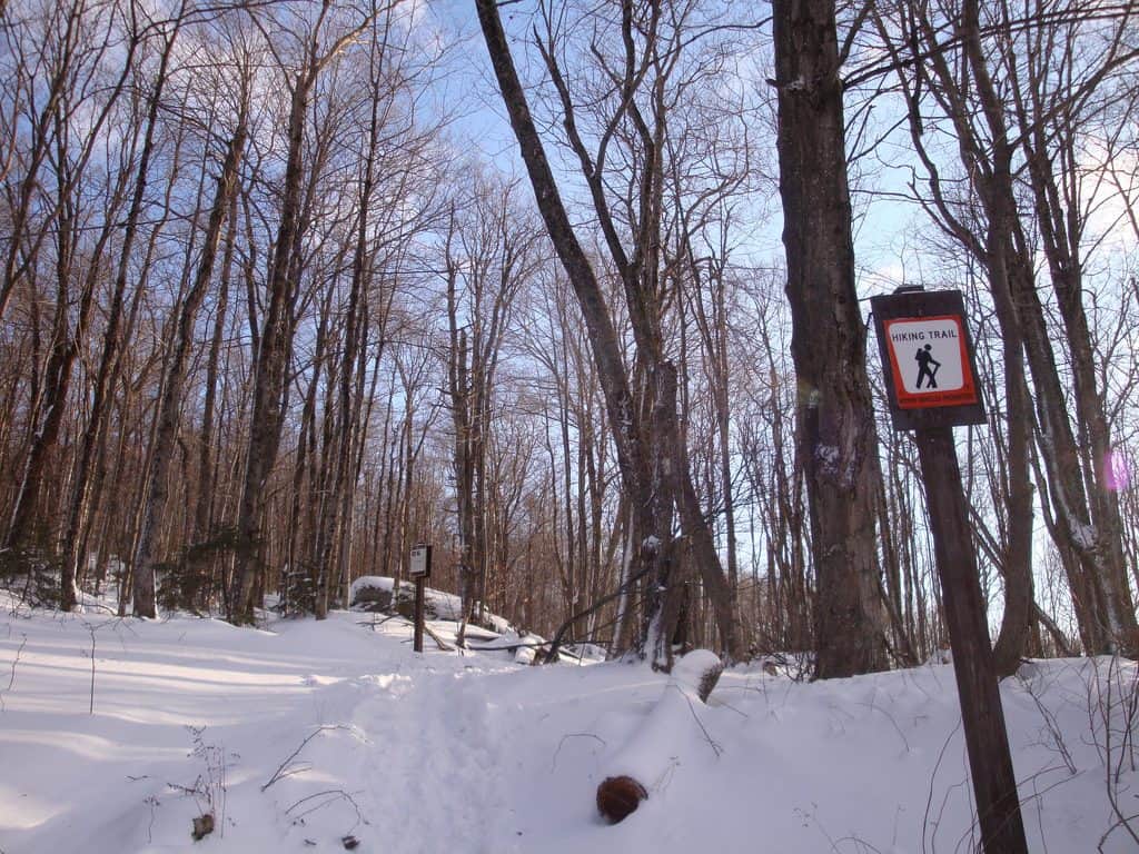 Appalachian Trail w/Snow by Shannon McGee
