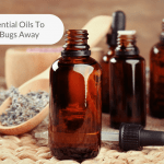 Featured Image Of Essential Oils To Keep Bugs Away