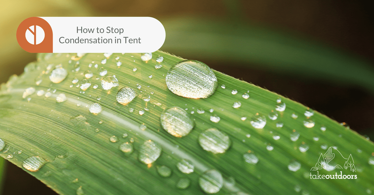 Featured Image for How to Stop Condensation in Tent