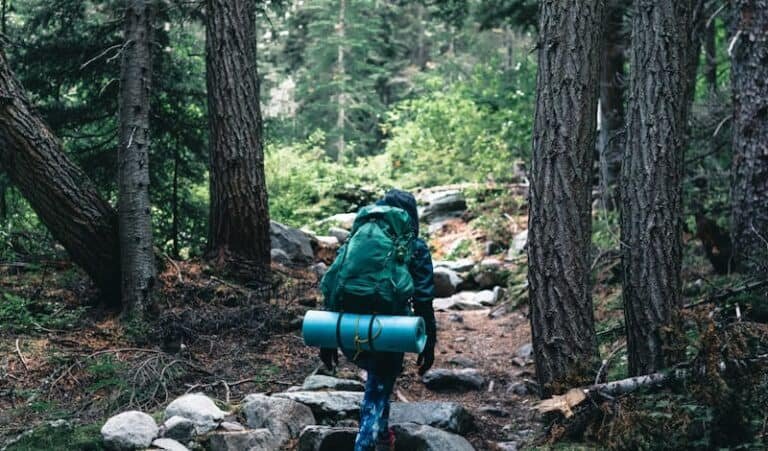 A backpacker hiking through a lush Canadian forest, showcasing outdoor adventure in nature.