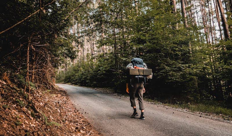 Lone adventurer backpacking along a serene forest path, embracing nature and tranquility.
